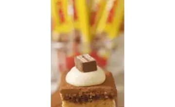 Nestlé Cake Decorating Series #1 Tex-Amisu Cake