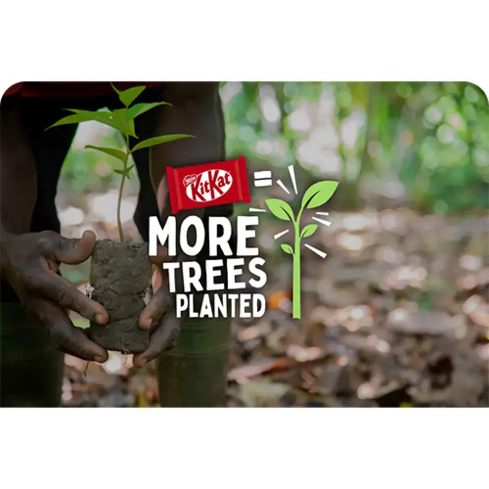 more trees planted