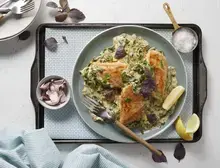 Spinach Cream Sauce Chicken Fillets