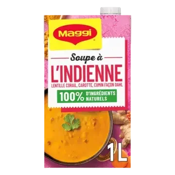 MAGGI Liquid Soup Indian Brick 6x1L FR
