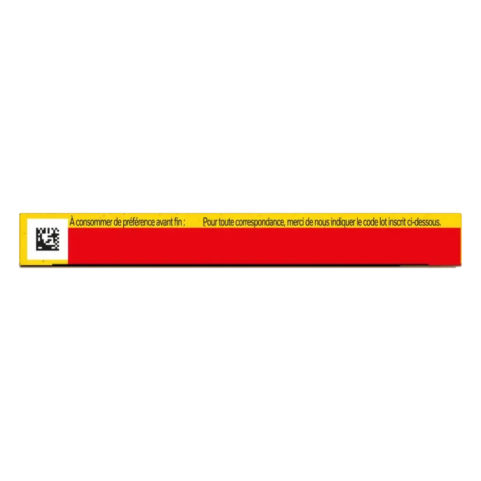 MAGGI Bouillon H Boiling Fowl Carton 20x150g FR