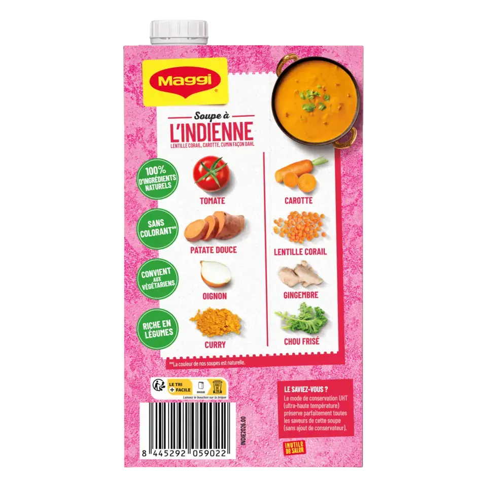 MAGGI Liquid Soup Indian Brick 6x1L FR