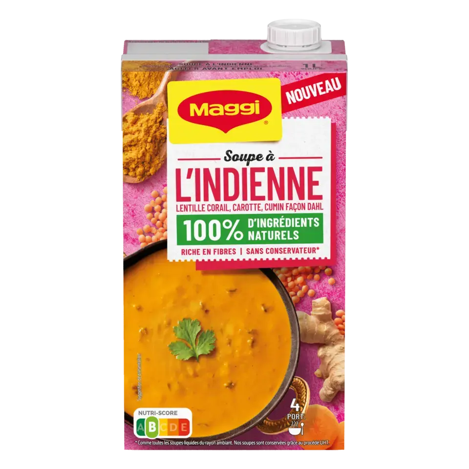 MAGGI Liquid Soup Indian Brick 6x1L FR