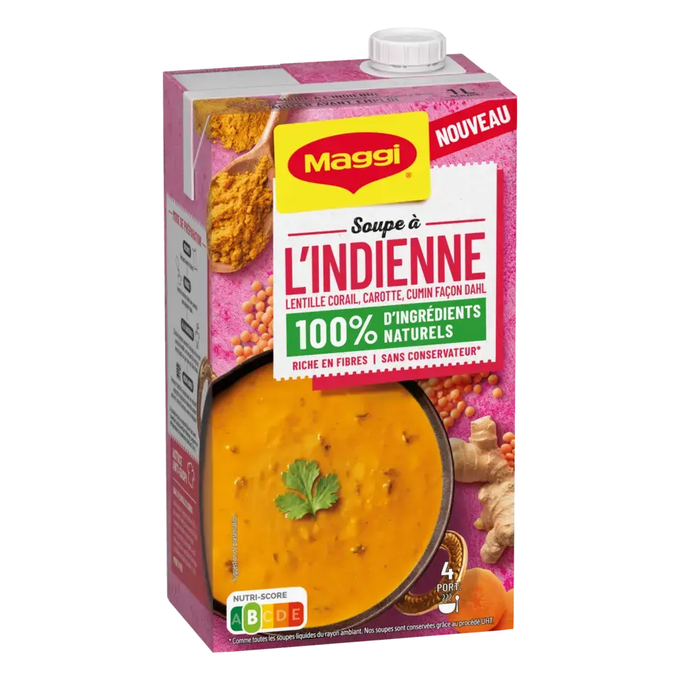 MAGGI Liquid Soup Indian Brick 6x1L FR