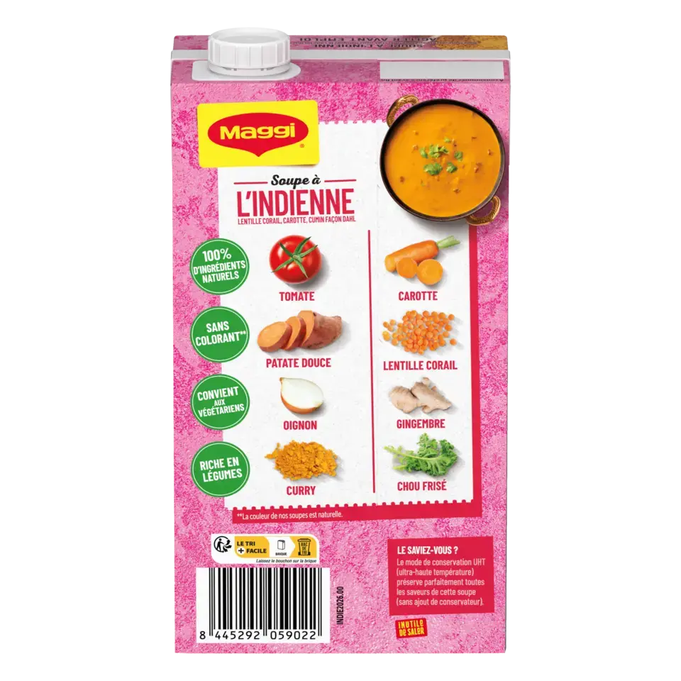 MAGGI Liquid Soup Indian Brick 6x1L FR