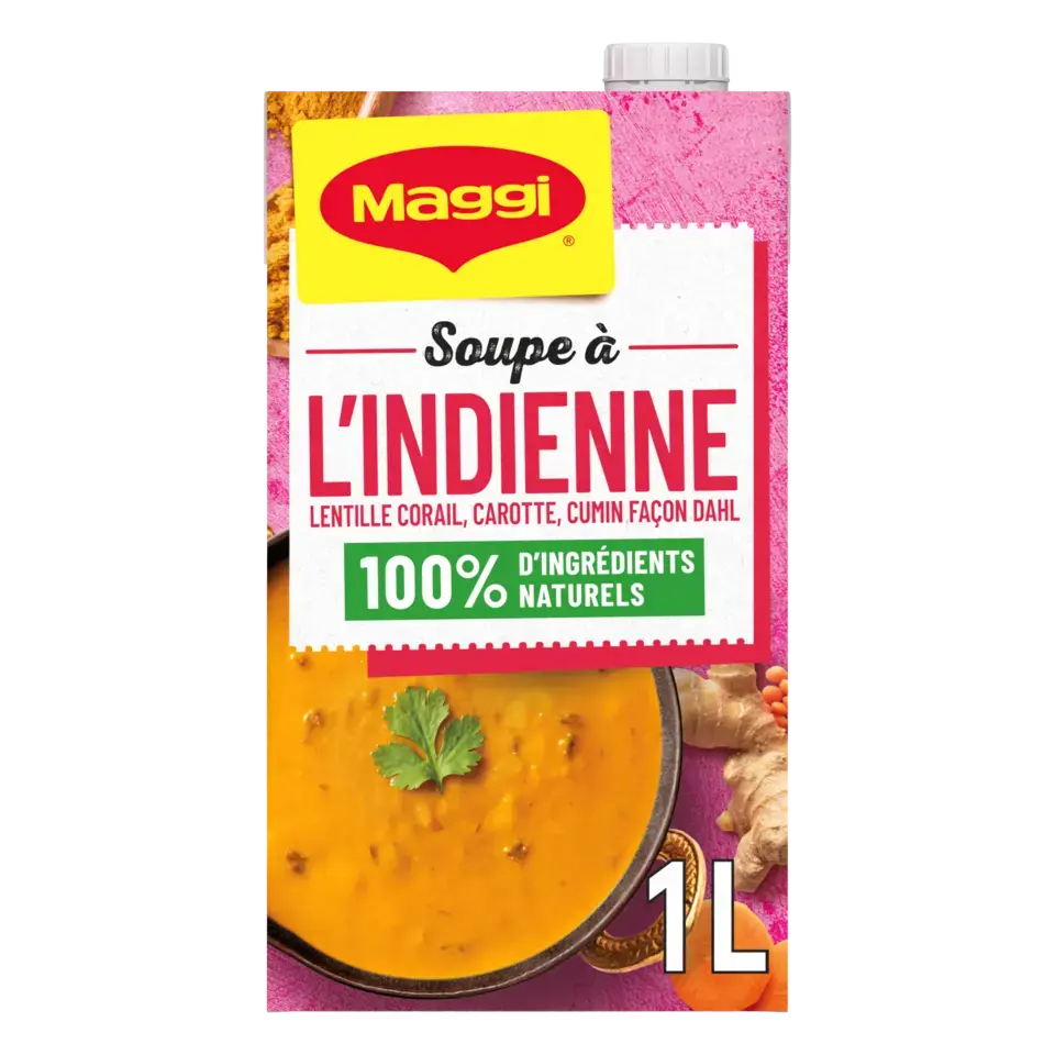 MAGGI Liquid Soup Indian Brick 6x1L FR