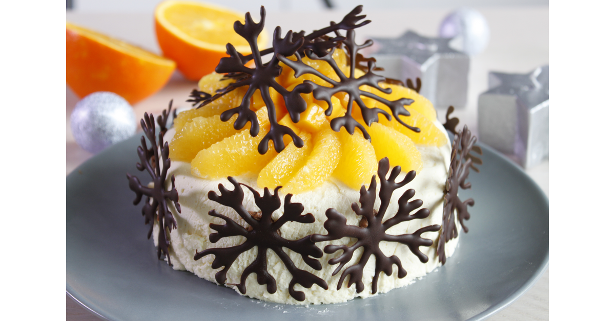 Gateau glacé chocolat blanc noix de coco et chocolat Noir 70% Absolu