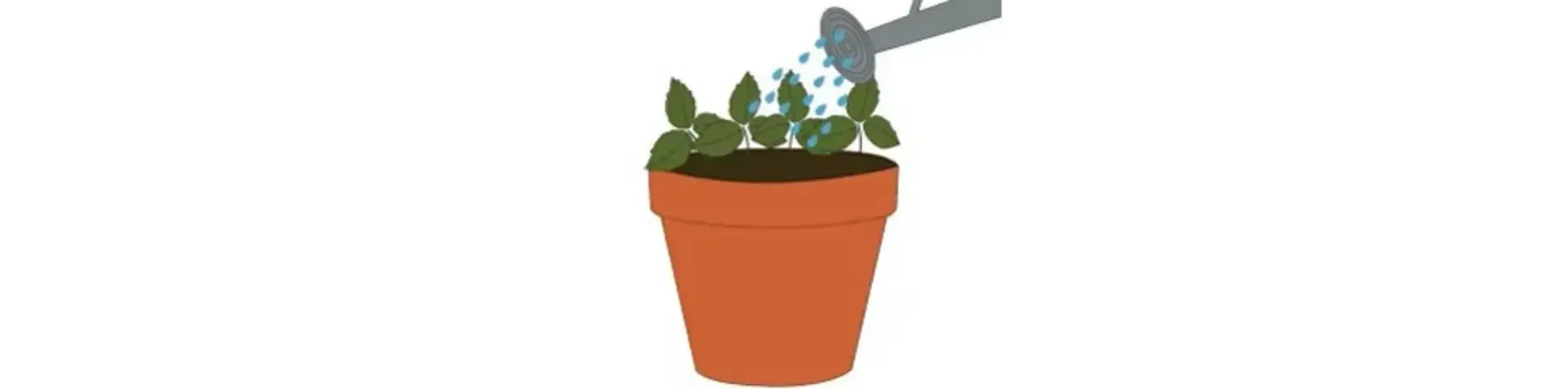 Step4
