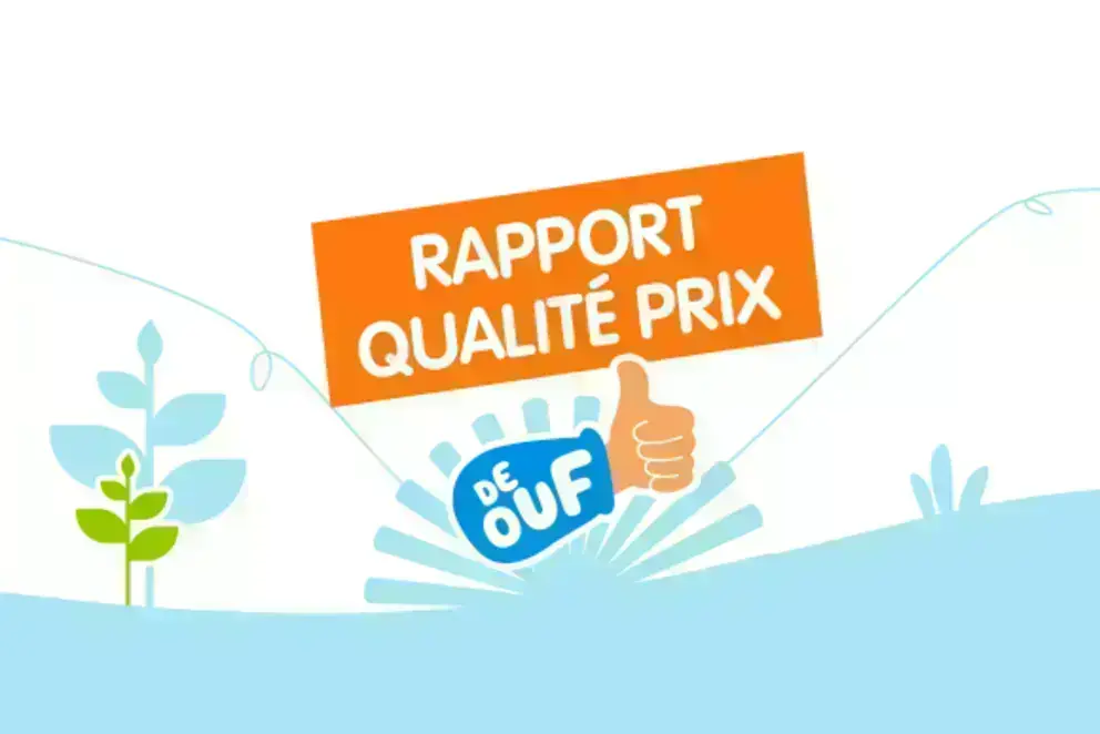 RAPPORT QUALITE