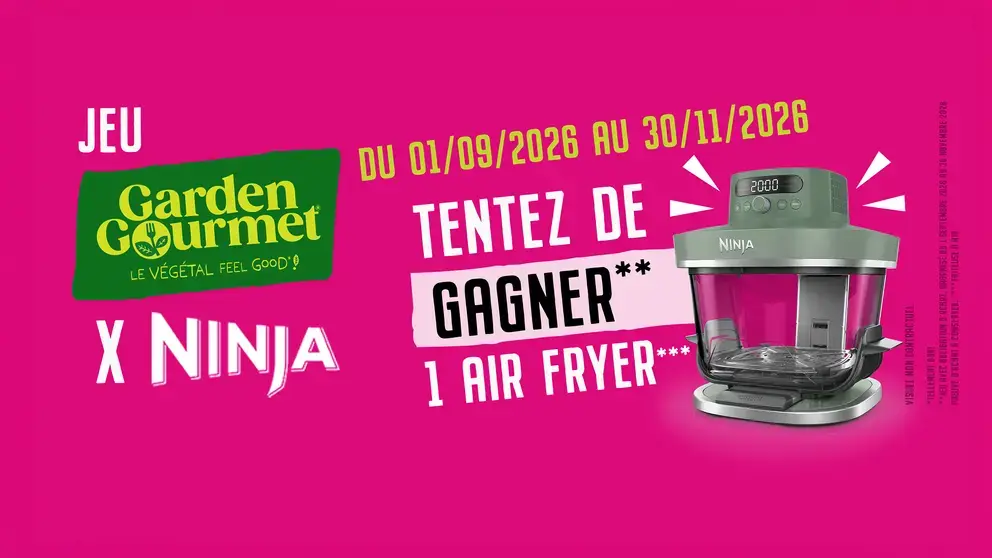 GG_AIRFRYER-PROMO_IMG desk