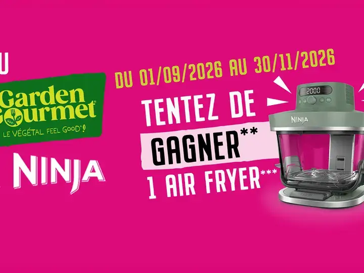 GG_AIRFRYER-PROMO_IMG desk