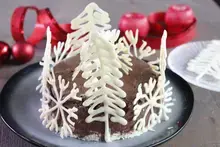Gâteau glacé chocolat Noir 70% Absolu, pralin coco