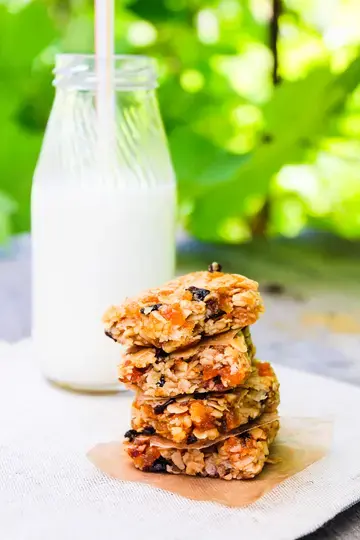 Chewy Oatmeal Raisin Granola Bars