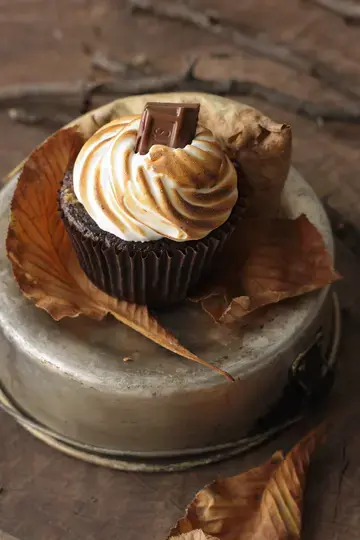 S’mores Cupcakes
