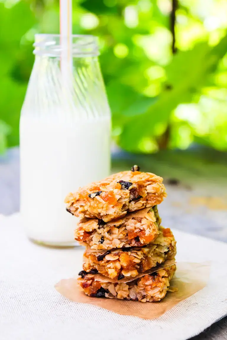 Chewy Oatmeal Raisin Granola Bars