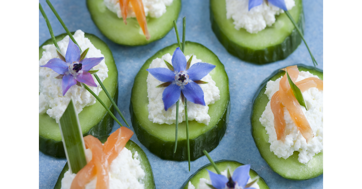 Cucumber and Cottage Cheese Snack Recipe - How To Guide