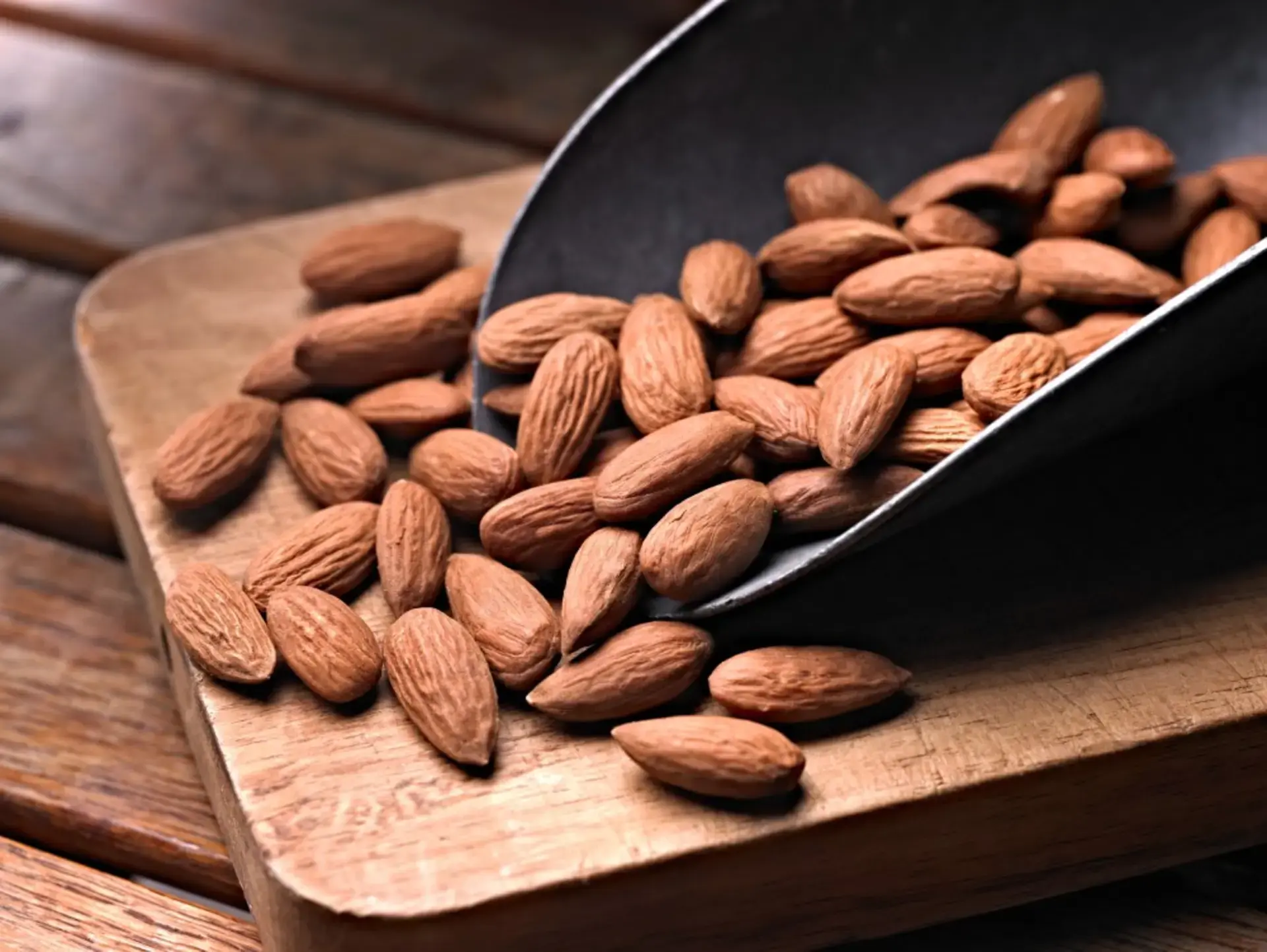 The Protein for All your Routines