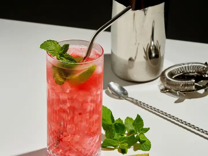 Raspberry Mojito