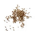 image of Caraway seeds