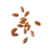 image of Seeds, flaxseed