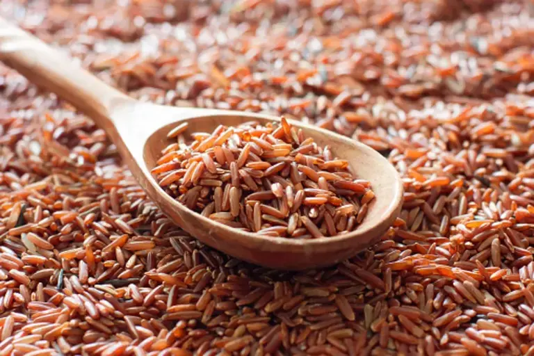 Gạo lứt đỏ chứa nhiều giá trị dinh dưỡng